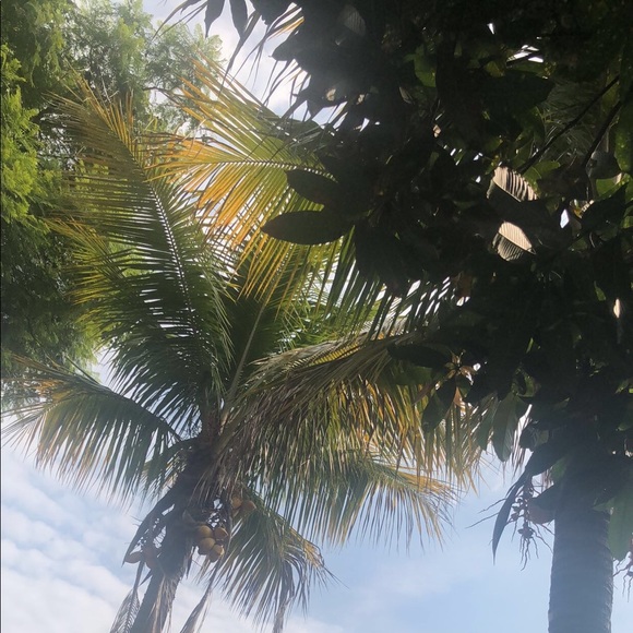 Meet your Posher, Noelia - Picture 1 of 1